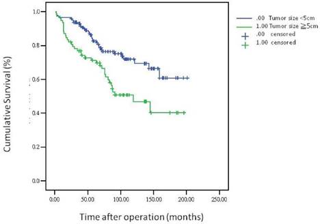 J Cancer Image