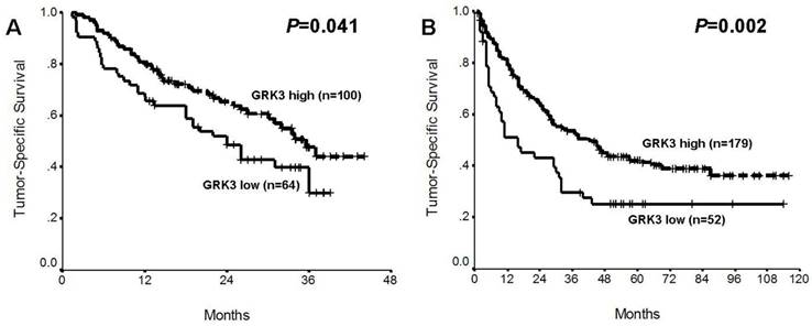 J Cancer Image