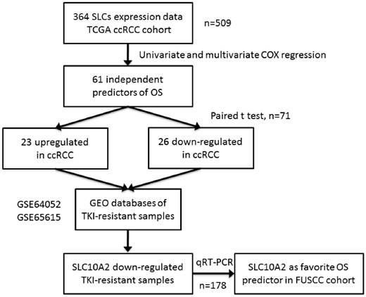 J Cancer Image