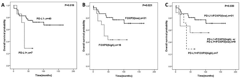 J Cancer Image