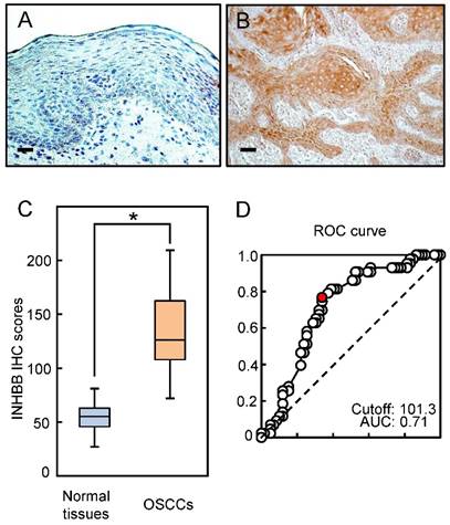 J Cancer Image