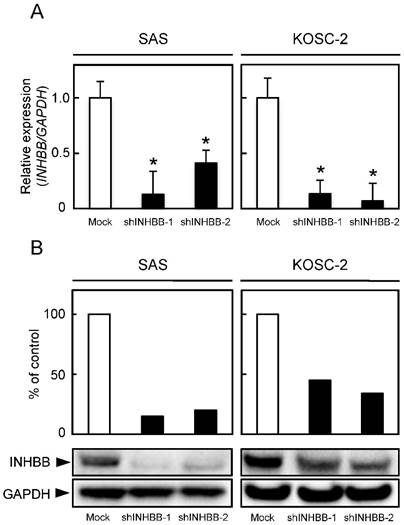 J Cancer Image