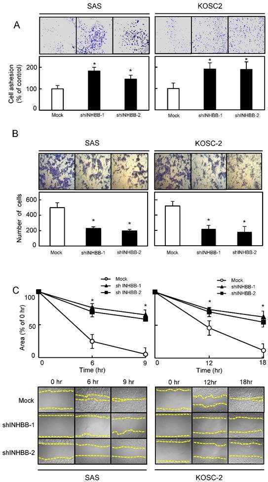 J Cancer Image