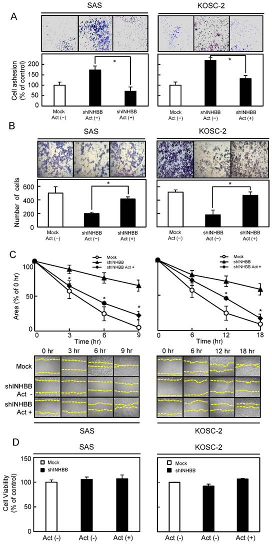 J Cancer Image