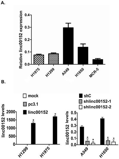 J Cancer Image