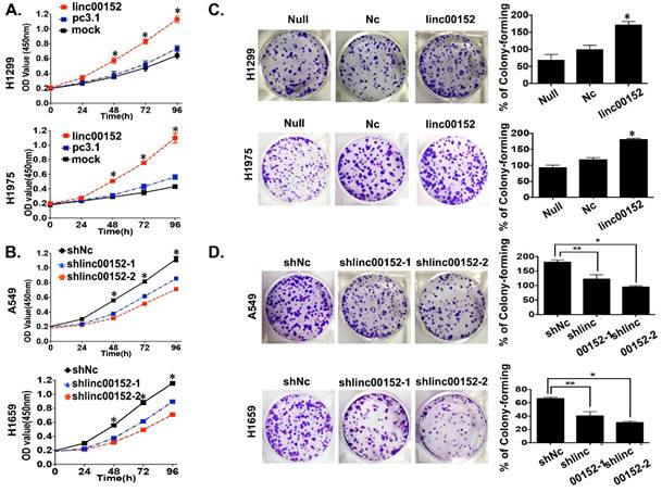 J Cancer Image