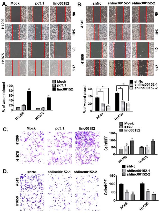 J Cancer Image