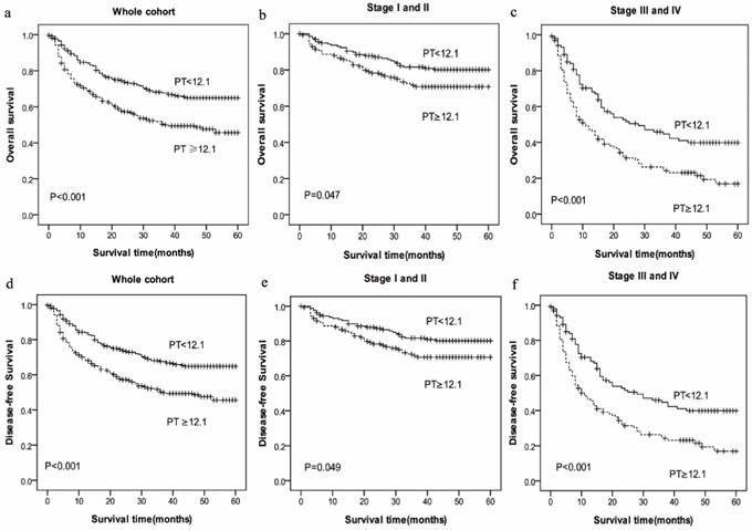 J Cancer Image