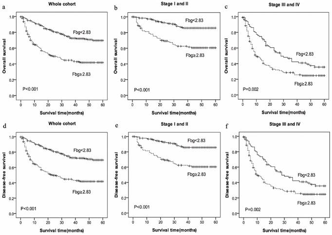 J Cancer Image