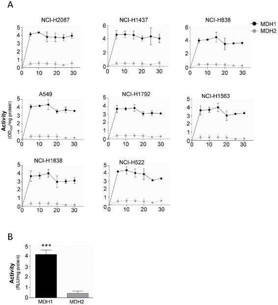 J Cancer Image