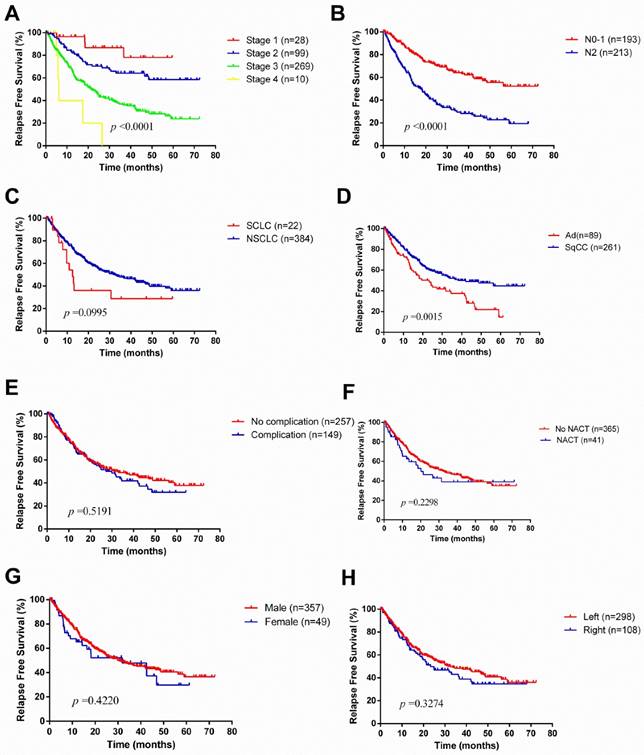 J Cancer Image