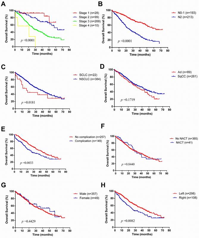 J Cancer Image