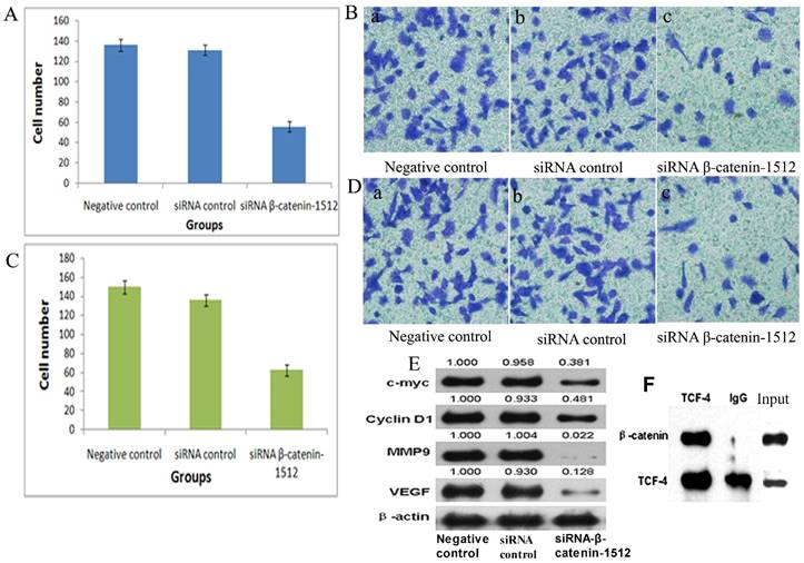 J Cancer Image