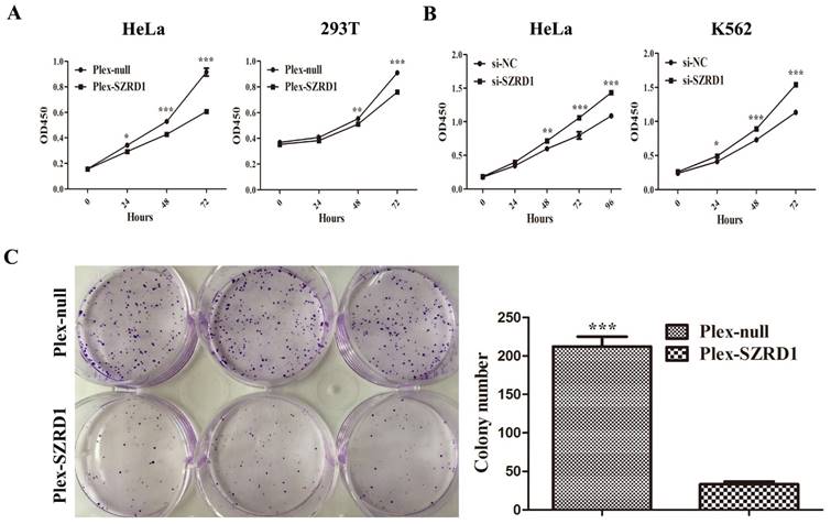 J Cancer Image