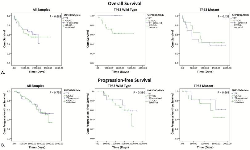 J Cancer Image