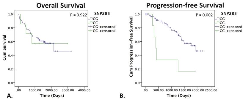 J Cancer Image