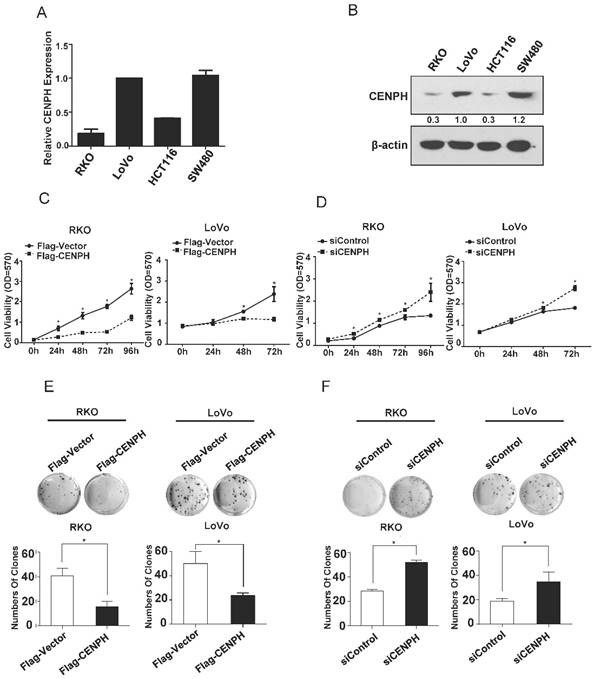 J Cancer Image