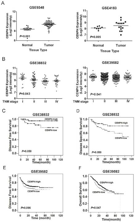 J Cancer Image