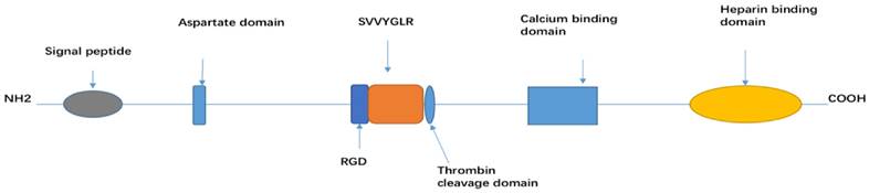 J Cancer Image