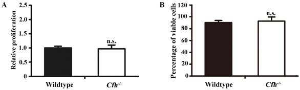 J Cancer Image