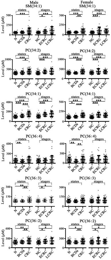 J Cancer Image