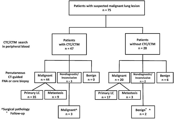 J Cancer Image