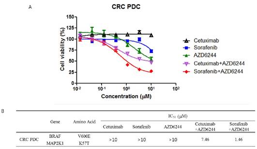 J Cancer Image