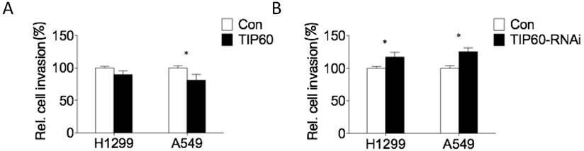 J Cancer Image