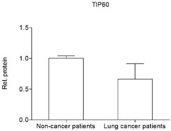 J Cancer Image