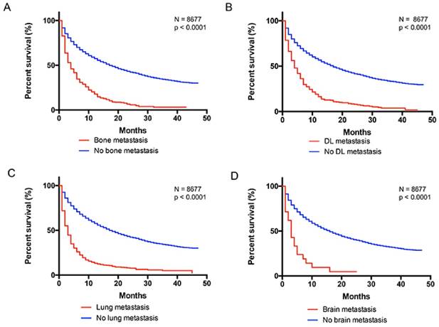 J Cancer Image