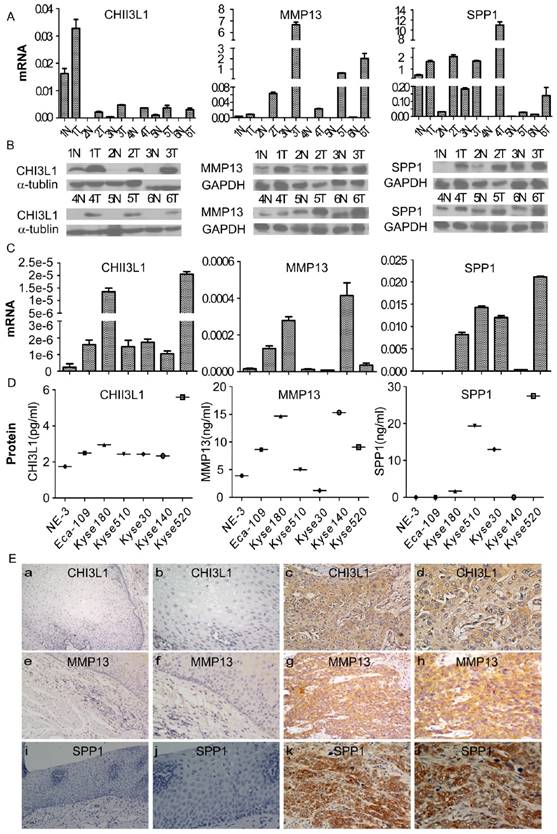 J Cancer Image