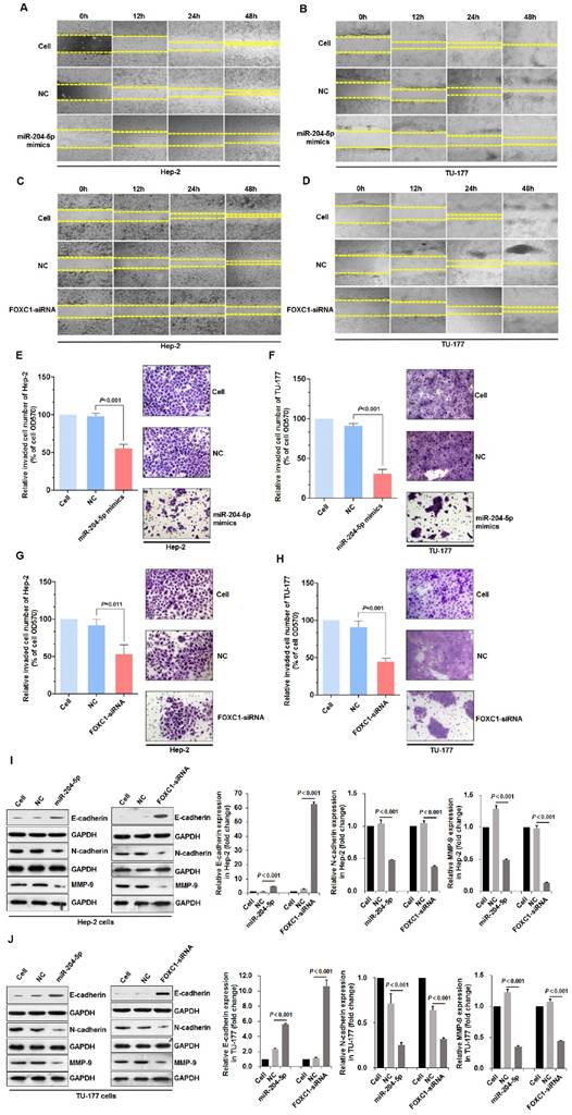 J Cancer Image