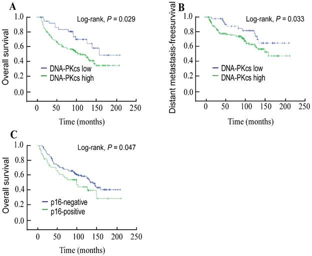 J Cancer Image