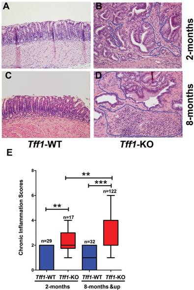 J Cancer Image