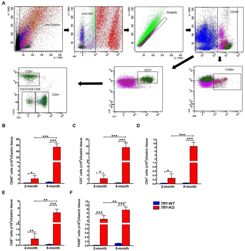 J Cancer Image