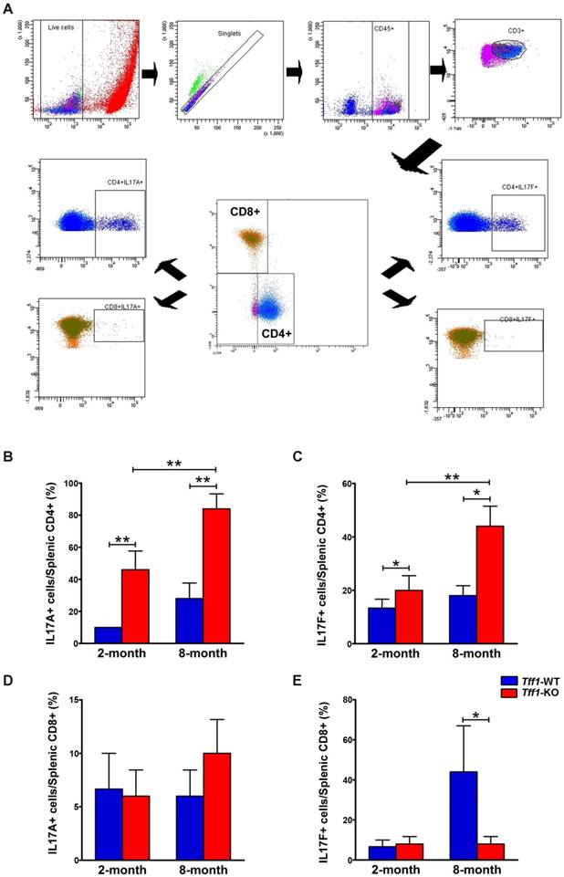 J Cancer Image