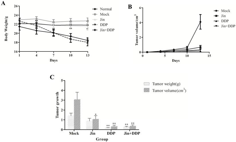 J Cancer Image