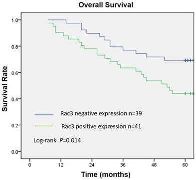 J Cancer Image