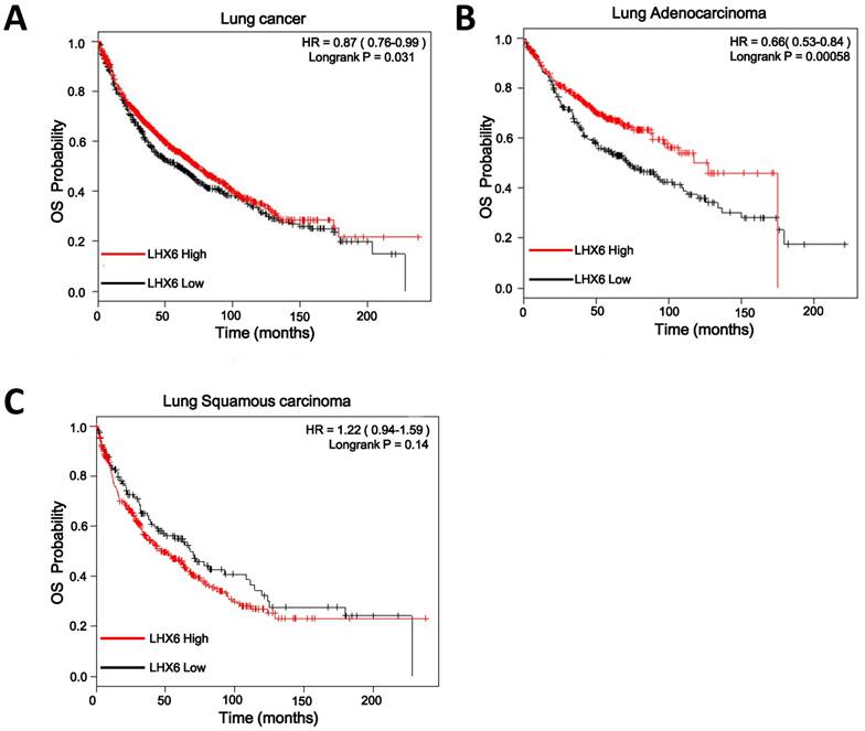 J Cancer Image