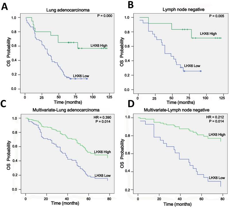 J Cancer Image