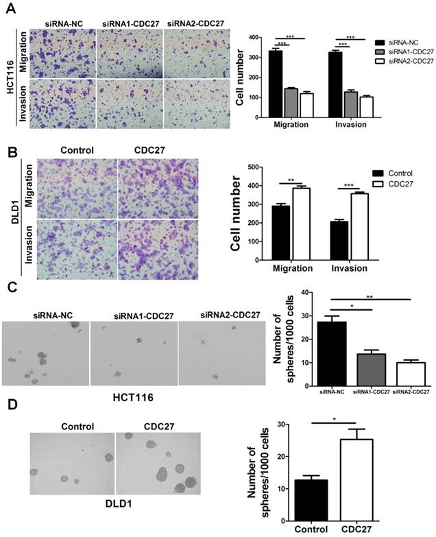 J Cancer Image