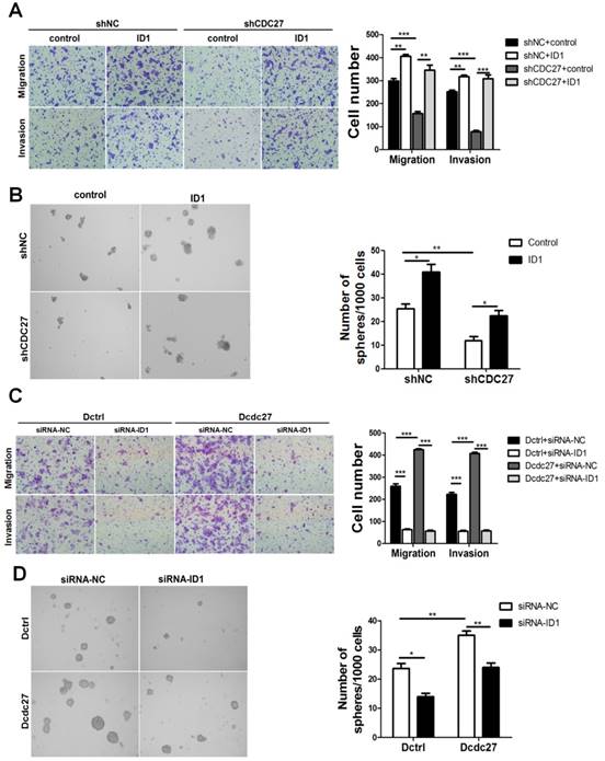 J Cancer Image