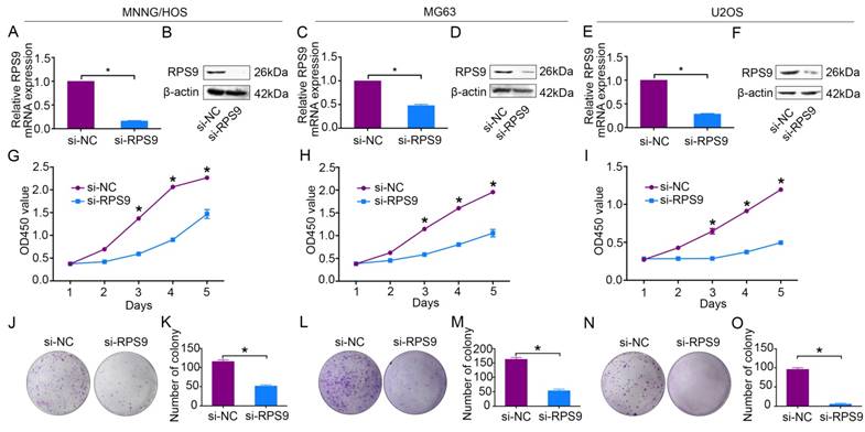 J Cancer Image