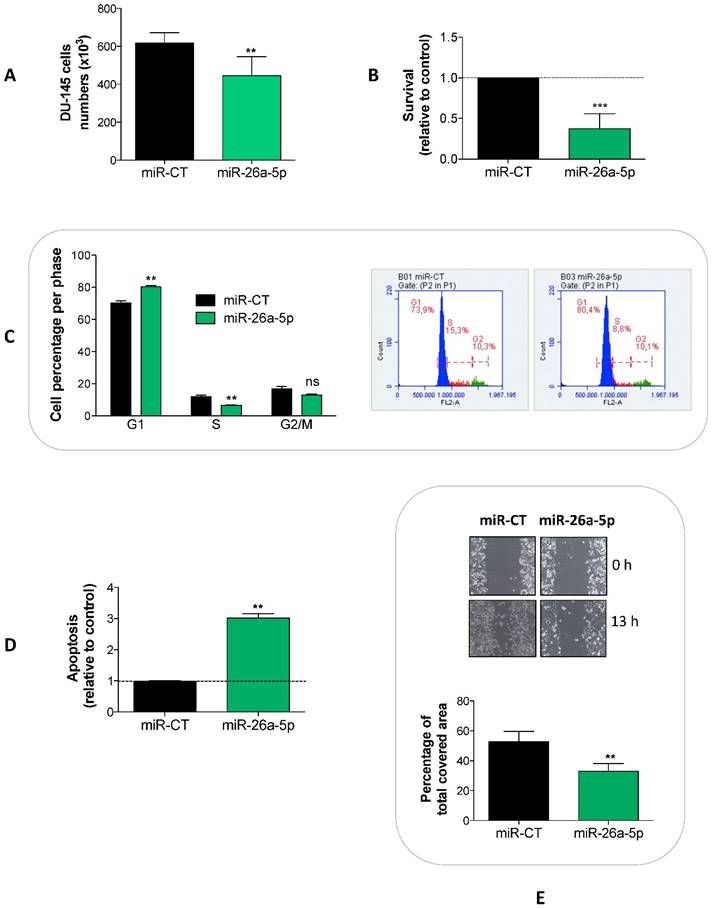 J Cancer Image