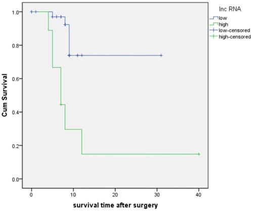 J Cancer Image