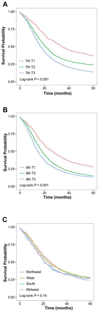 J Cancer Image