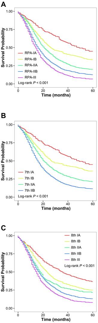 J Cancer Image