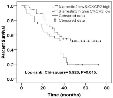 J Cancer Image