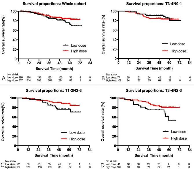 J Cancer Image