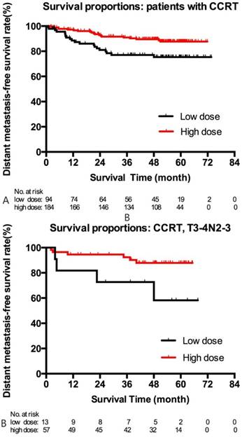 J Cancer Image